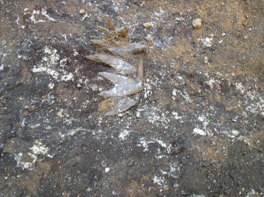 кургани Донеччина