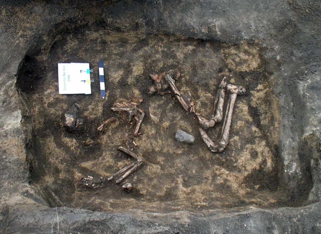 кургани Донеччина