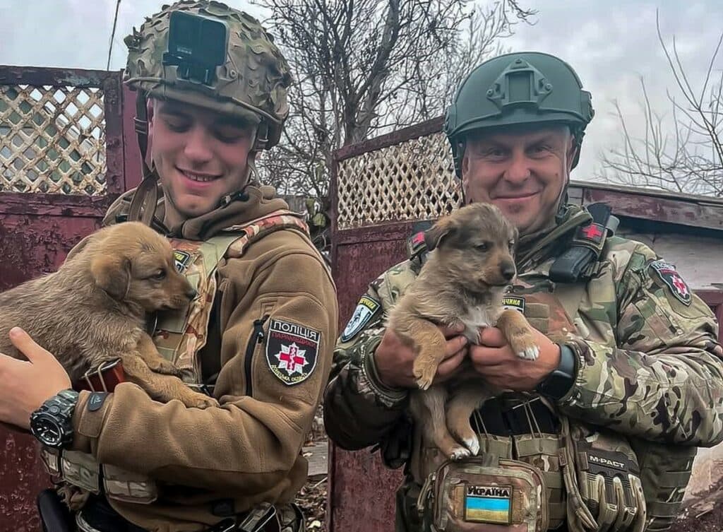 Поліцейські врятували двох цуценят з-під обстрілів на Донеччині (фото)