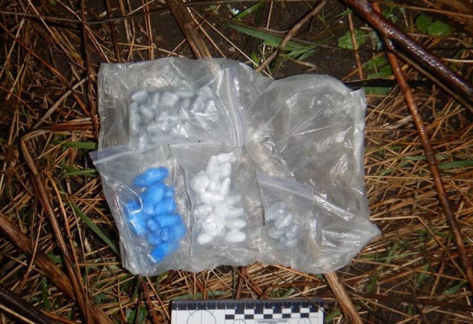 У Слов’янську поліцейські вилучили у місцевого мешканця наркотичні речовини у великих розмірах