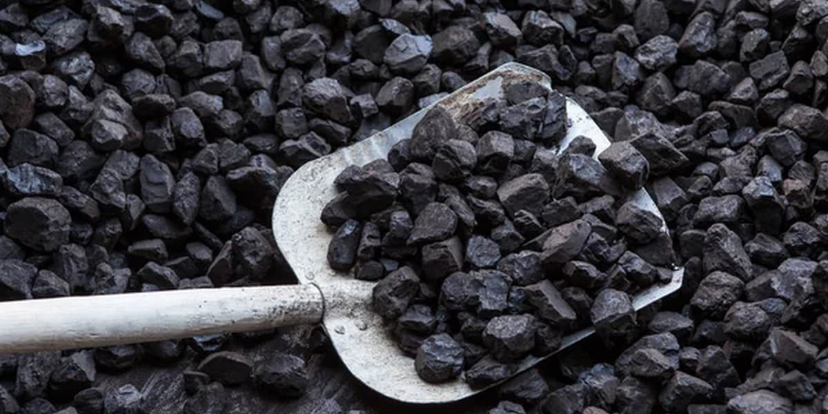 За підтримки міжнародних донорів жителів Покровської громади забезпечують деревиною та вугіллям для опалення