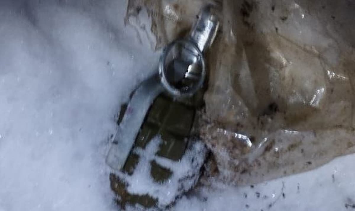 У домашнього агресора з Краматорського району поліція вилучила боєприпаси і наркотик