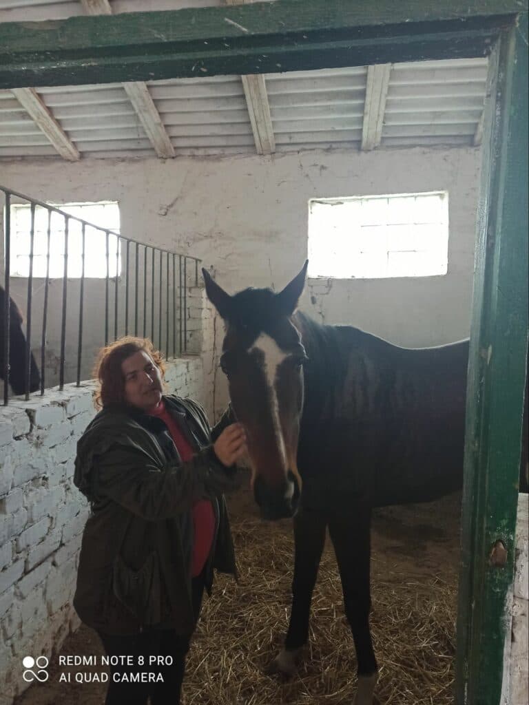 коні Лисичанськ