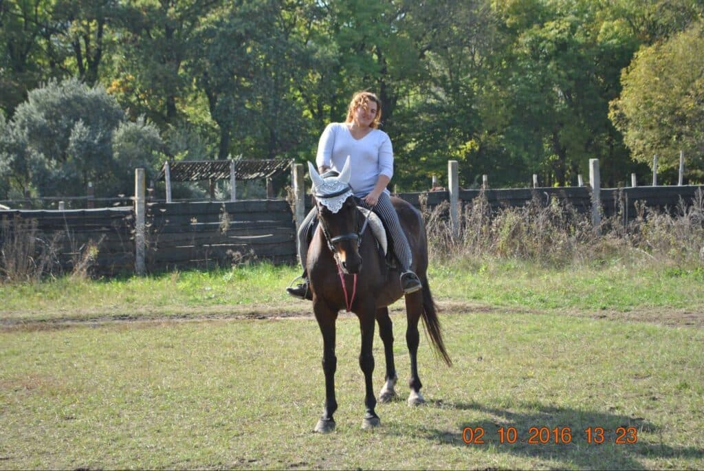 коні Лисичанськ