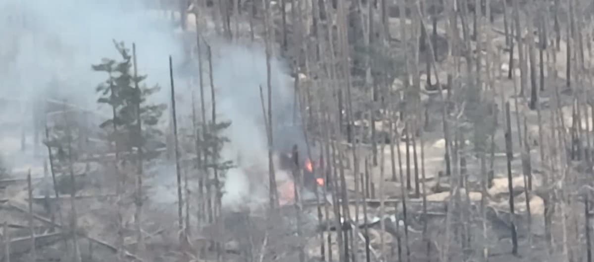 12-та бригада спеціального призначення Азов ліквідувала російського комбата у лісах під Кремінною (відео)