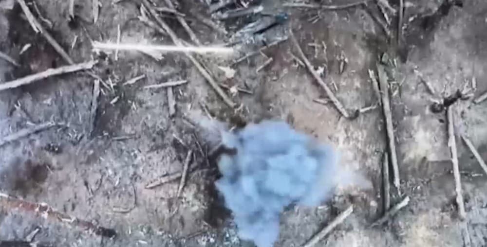 Азов показав знищення окупантів у Серебрянському лісництві на Луганщині (відео)