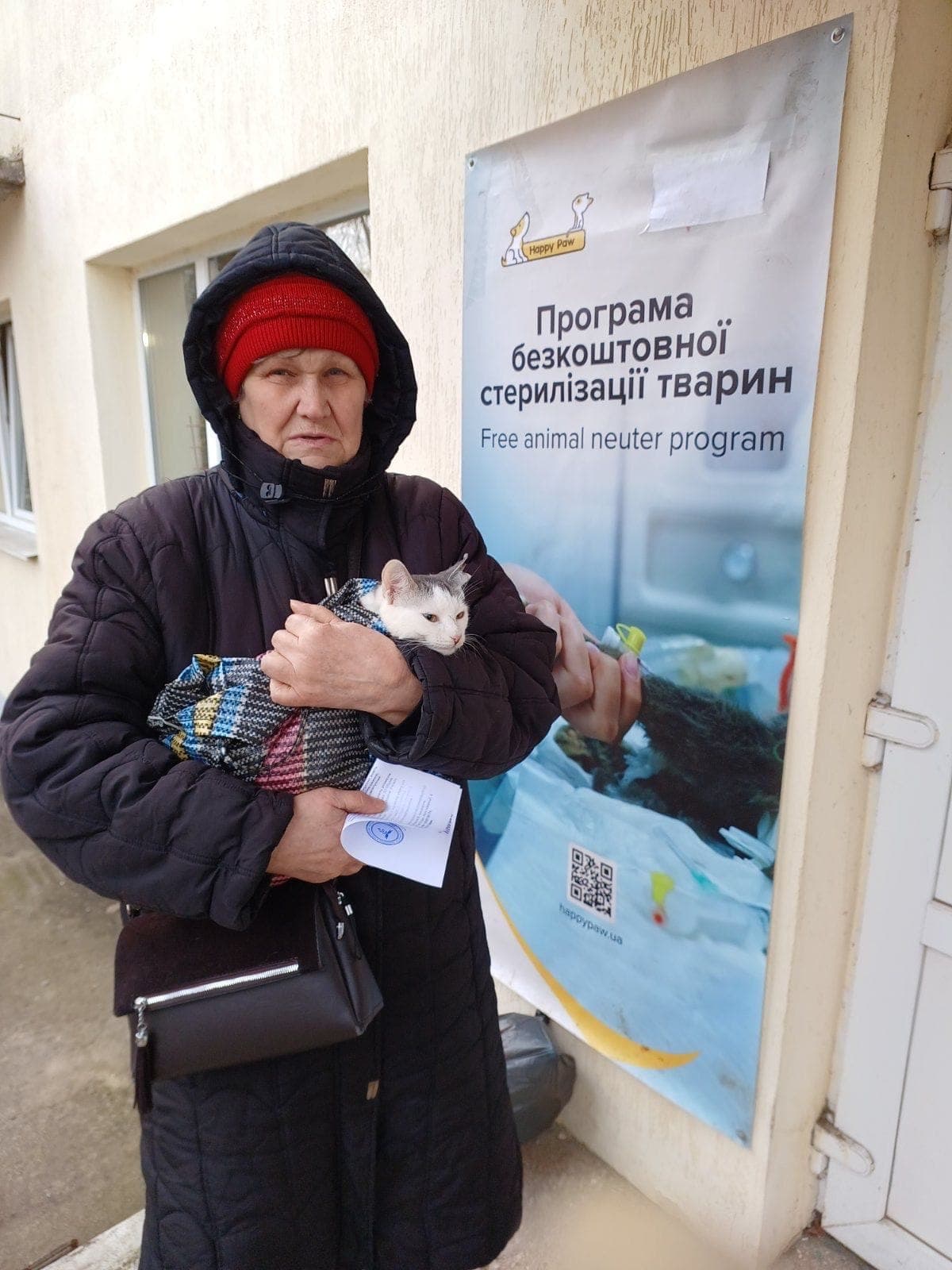 У Костянтинівській громаді стартував 7-денний проєкт зі безкоштовної стерилізації тварин