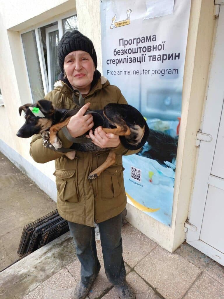 У Костянтинівській громаді стартував 7-денний проєкт зі безкоштовної стерилізації тварин