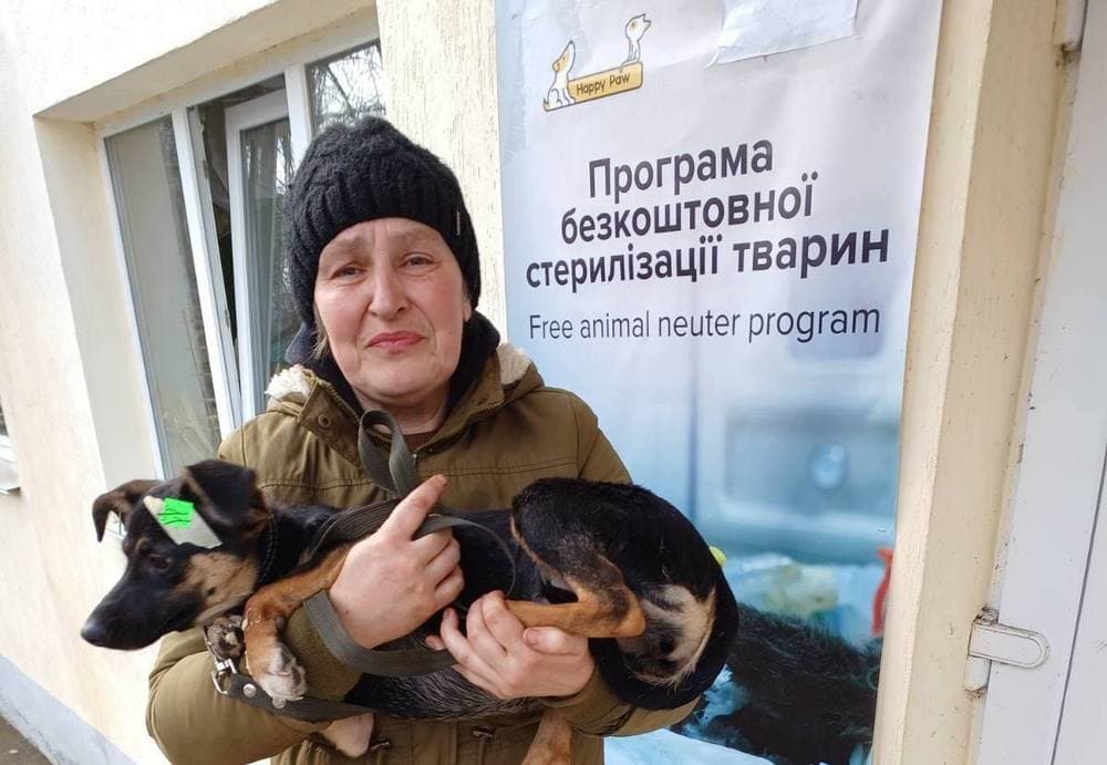 У Костянтинівській громаді стартував 7-денний проєкт зі безкоштовної стерилізації тварин