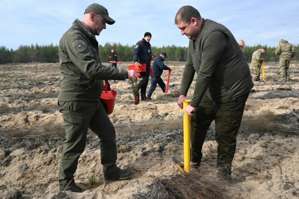 Лиманський лісгосп