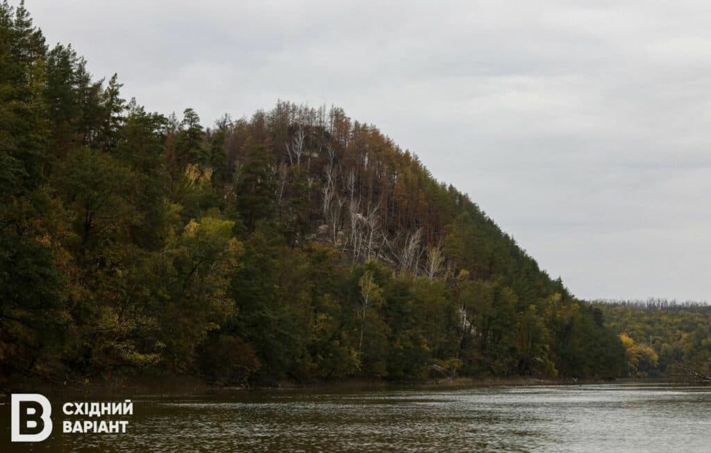 Сіверський Донець