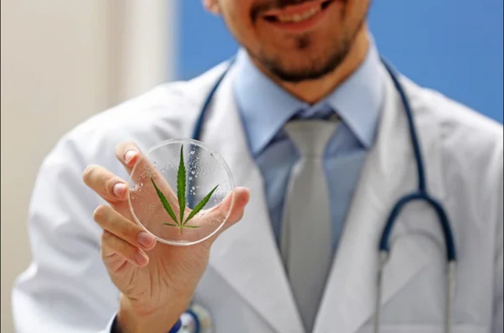 Зеленський підписав закон про медичний канабіс