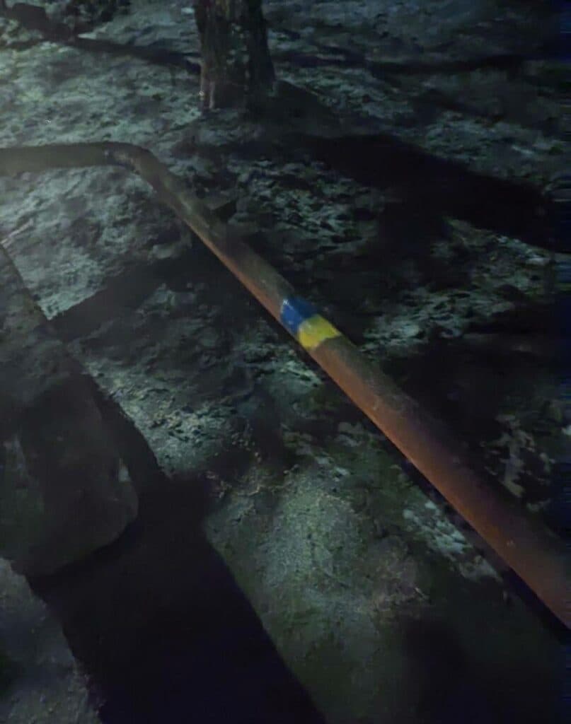 жовта стрічка 3