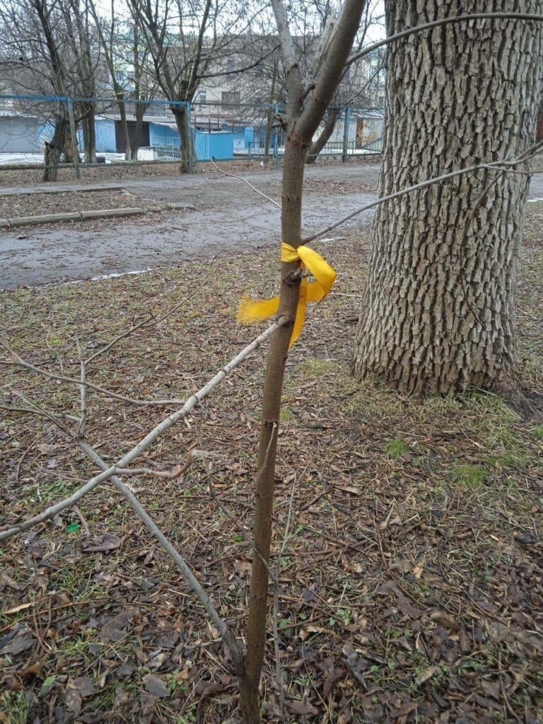 жовта стрічка 4