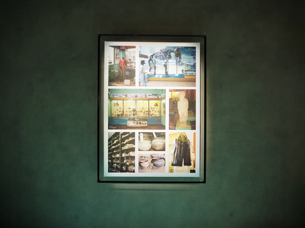 Луганський обласний краєзнавчий музей відновив роботу у Києві