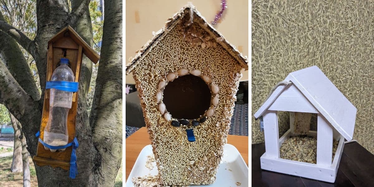 годівнички переможці 0