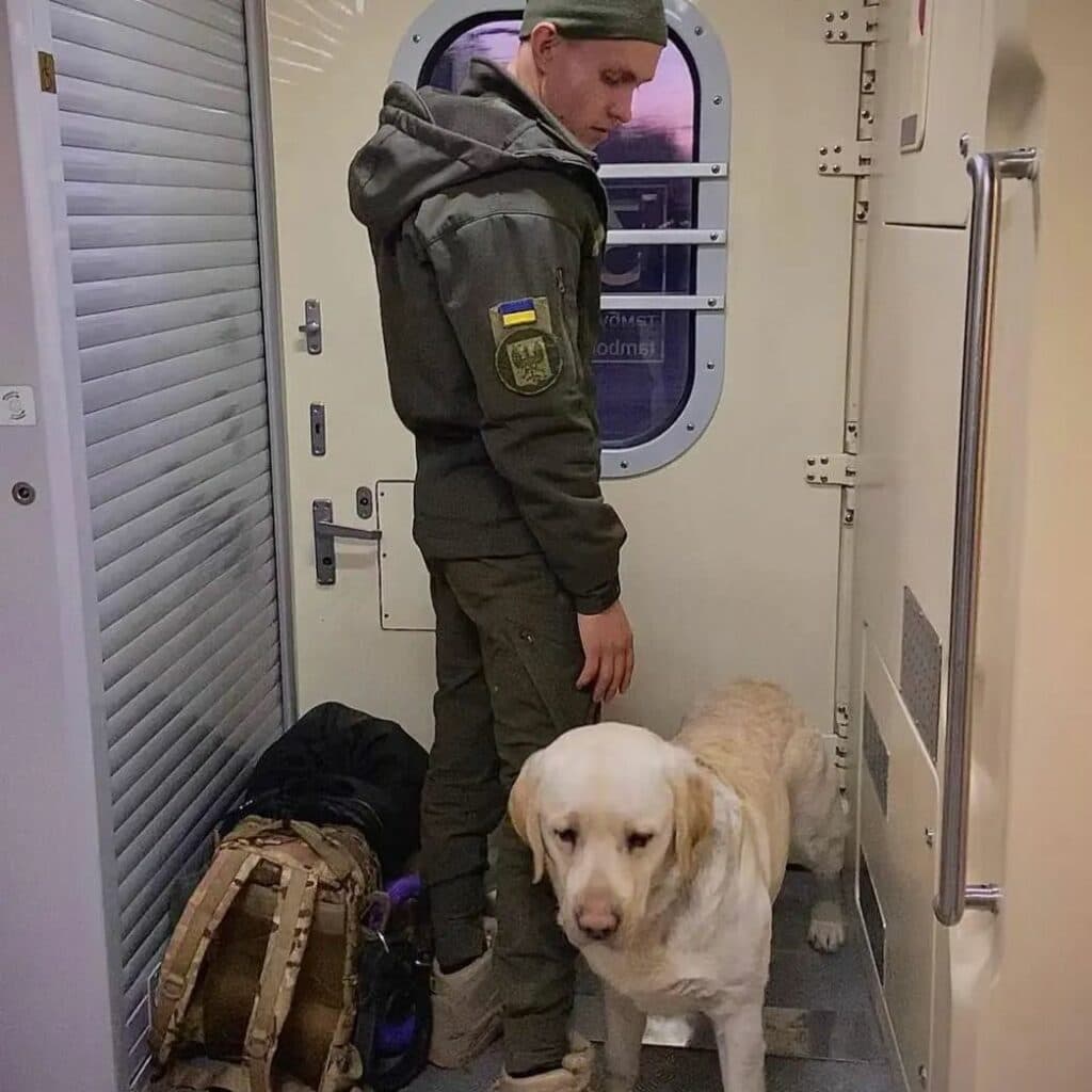 нацгвардієць і лабрадор