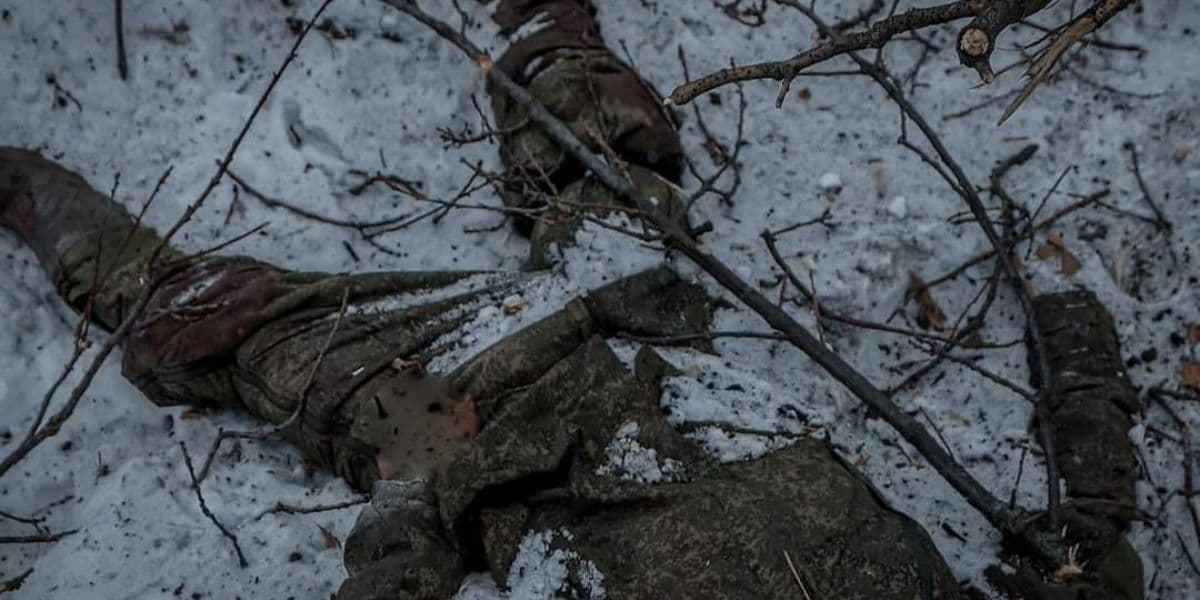 окупант_95 одшбр