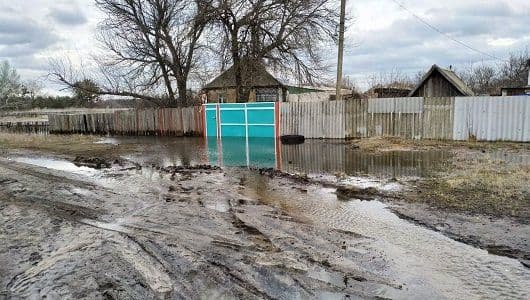 окупована Луганщина