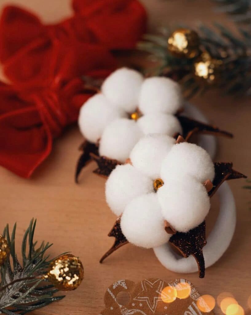 переселенка Юлія Прокопець