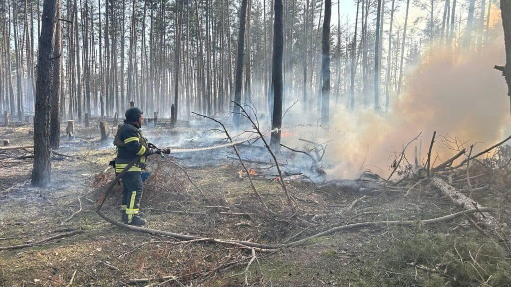 пожежи на Донеччині