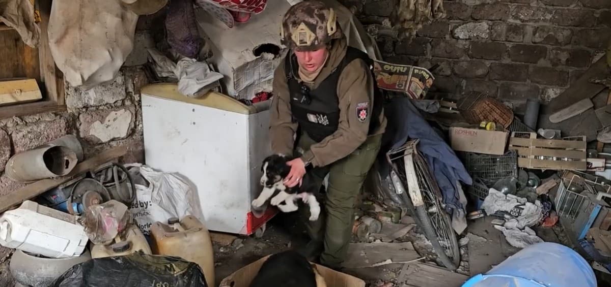 Родину, 9 корів, курей, собак і кішку евакуювали з Торського "білі янголи" та волонтери (відео)