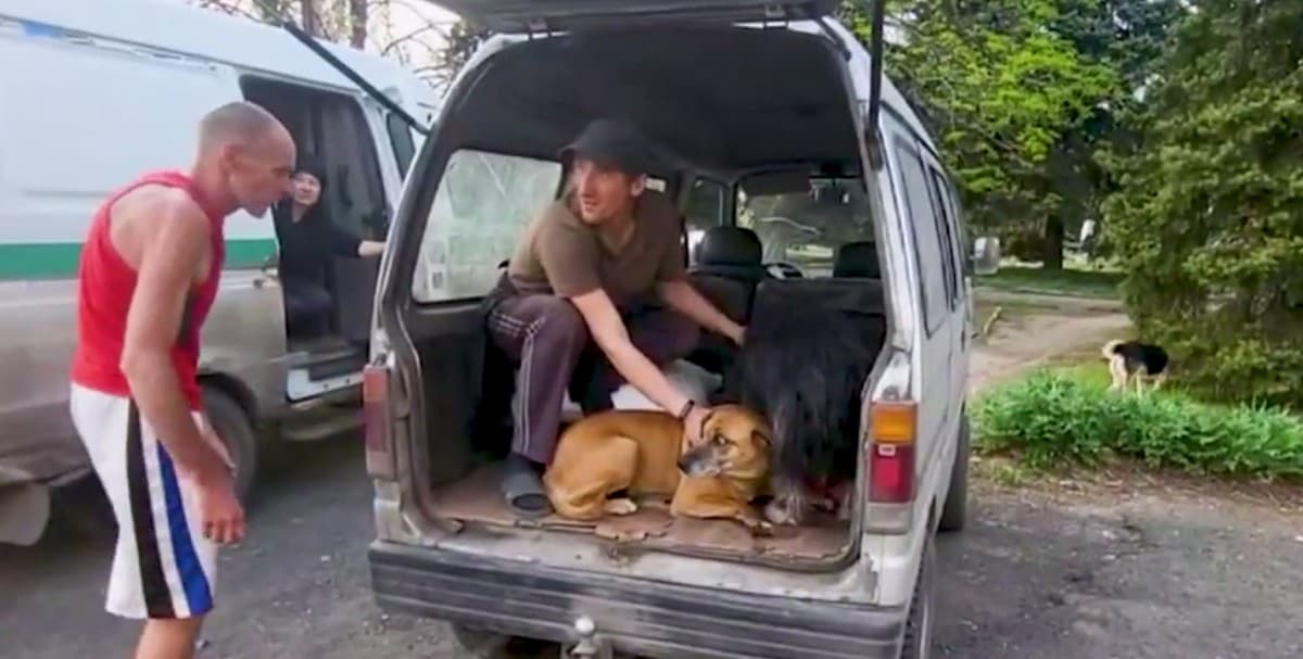 З обстрілюваної Красногорівки "білі янголи" врятували групу людей і тварин (відео)