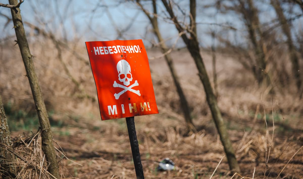 Вже понад 224 кв. м територій Донеччини обстежили піротехніки ДСНС