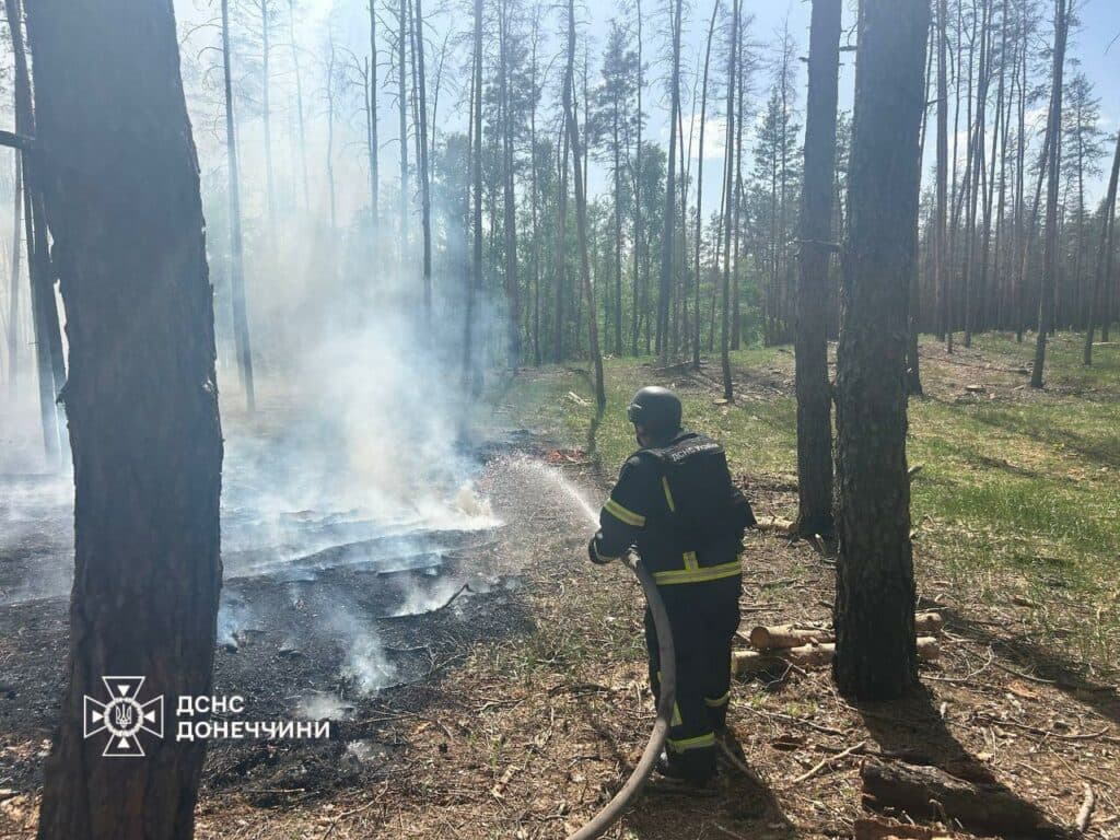 дснс донеччини 1