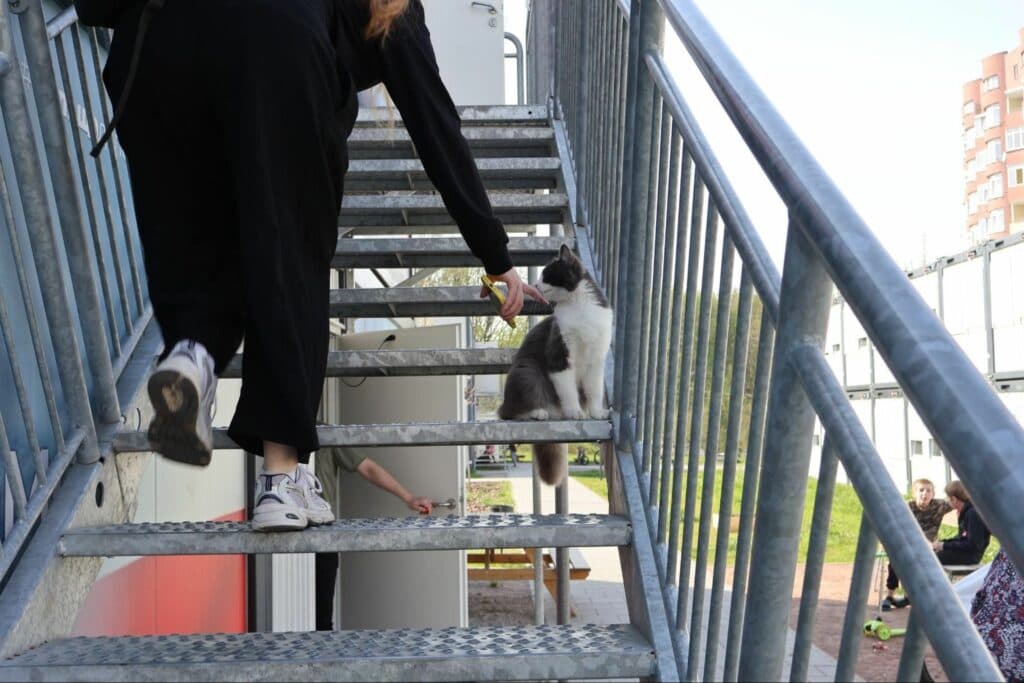 модульне містечко Львова