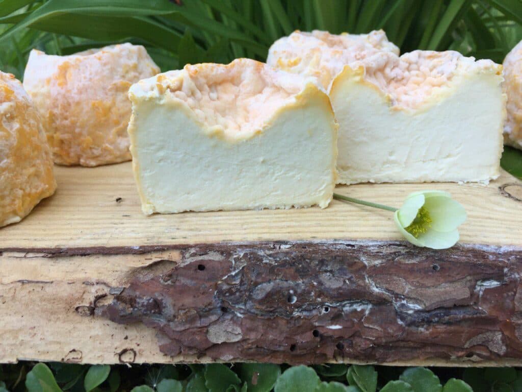 переселенка зі Слов’янська Мірошніченко