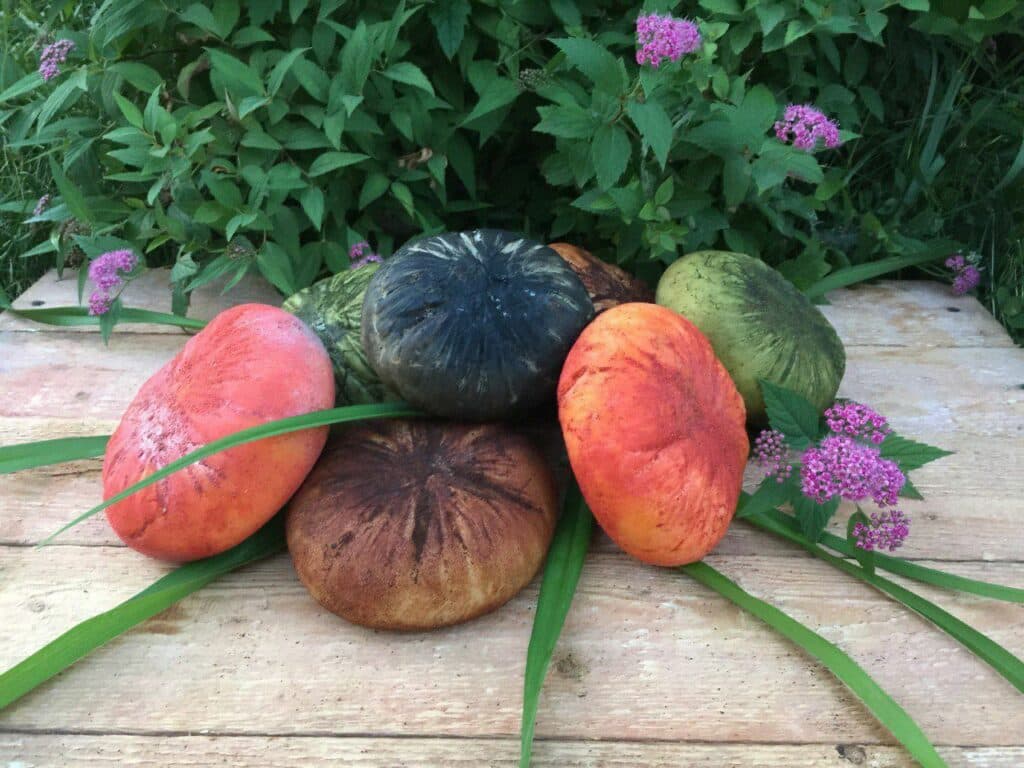 переселенка зі Слов’янська Мірошніченко