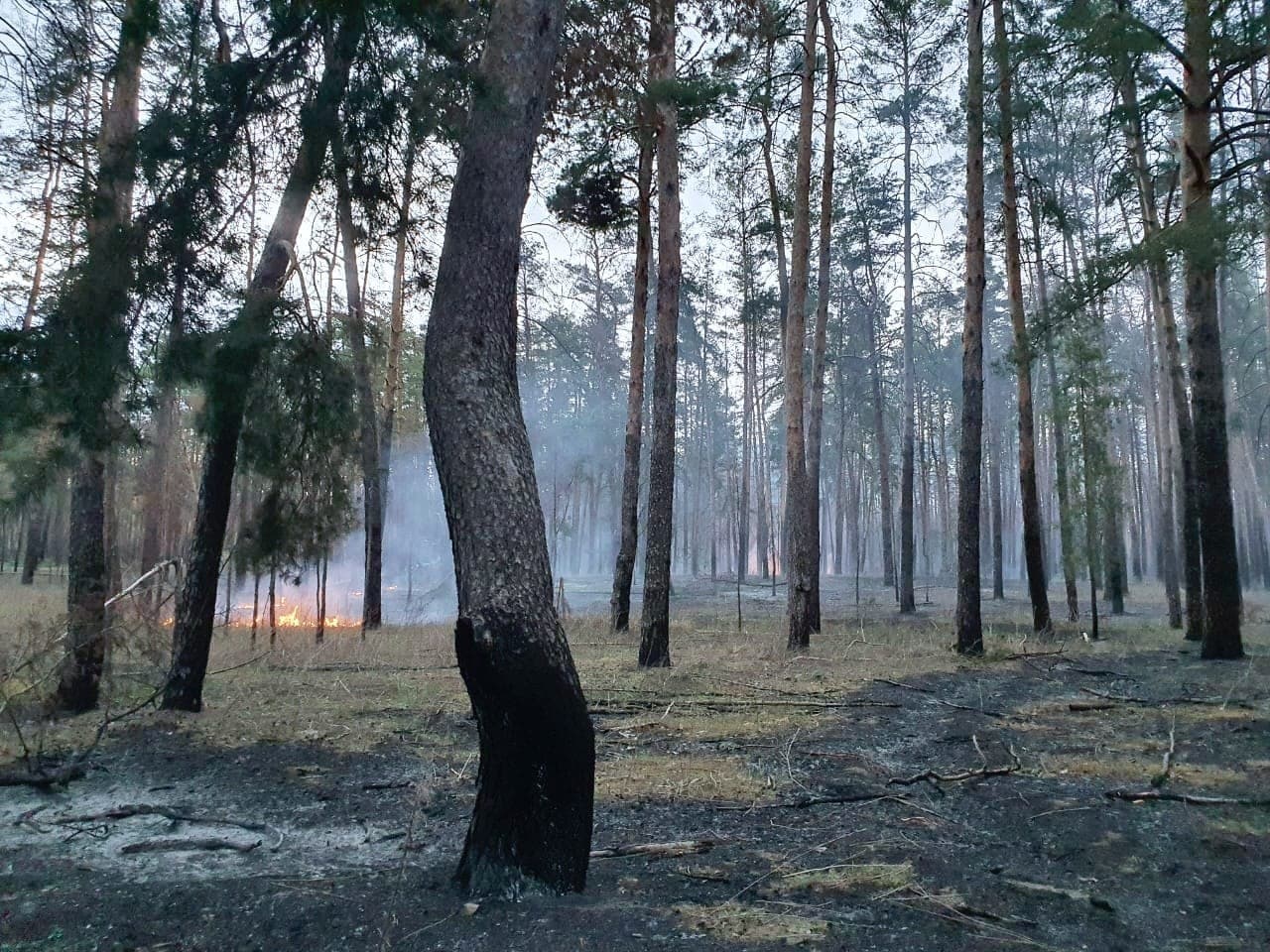 пожежі на Лиманщині