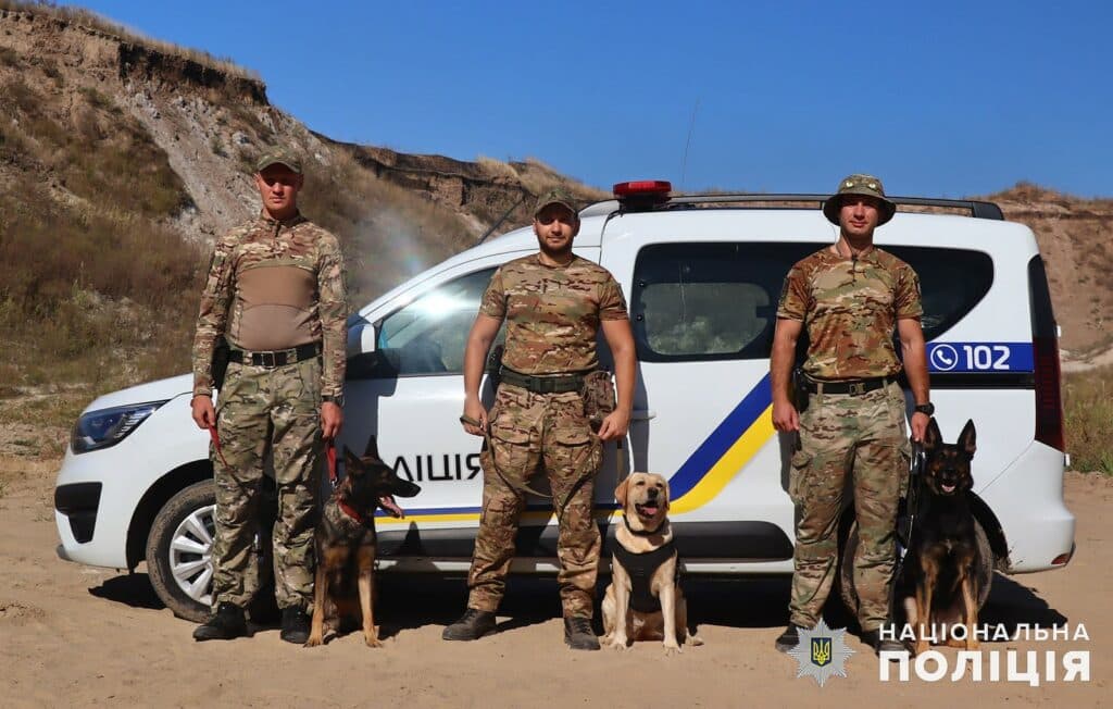 службові собаки 7