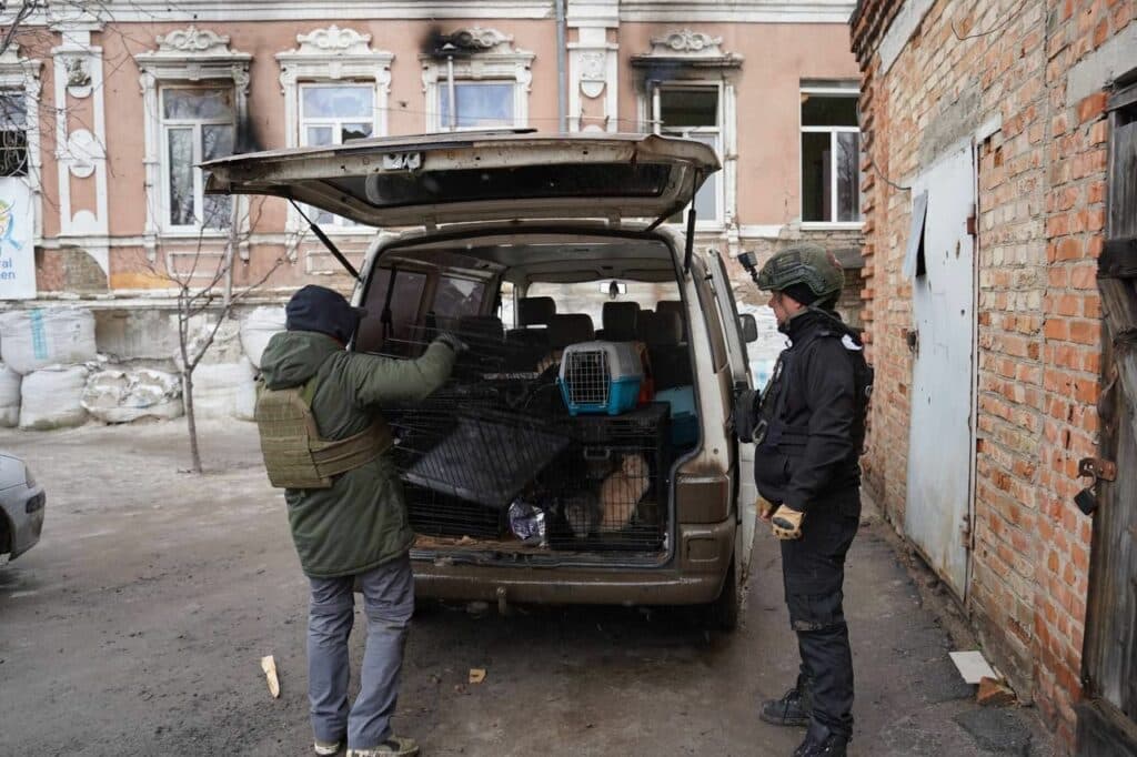 волонтери евакуйовують тварин з Донеччини