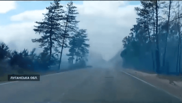 Десятки квадратних кілометрів окупованої Луганщини охоплені лісовими пожежами