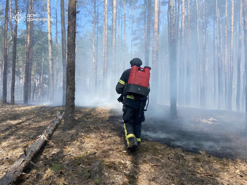 У Лимані та Ямполі на Донеччині знов горіли ліси (фото)
