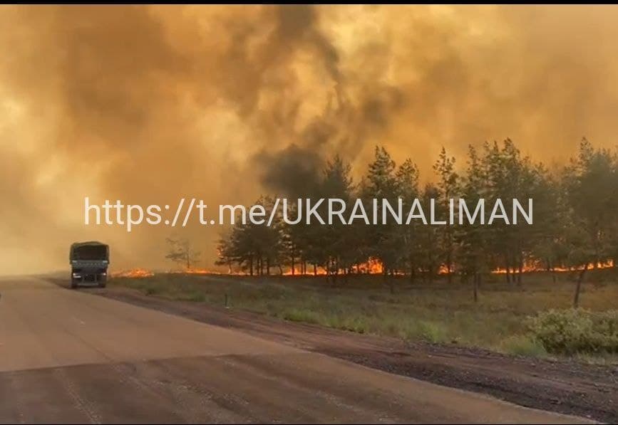 У Лиманських лісах сталася масштабна пожежа (відео)