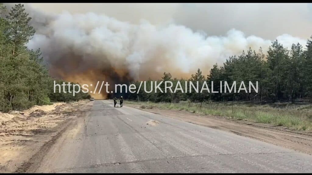 У Лиманських лісах сталася масштабна пожежа (відео)