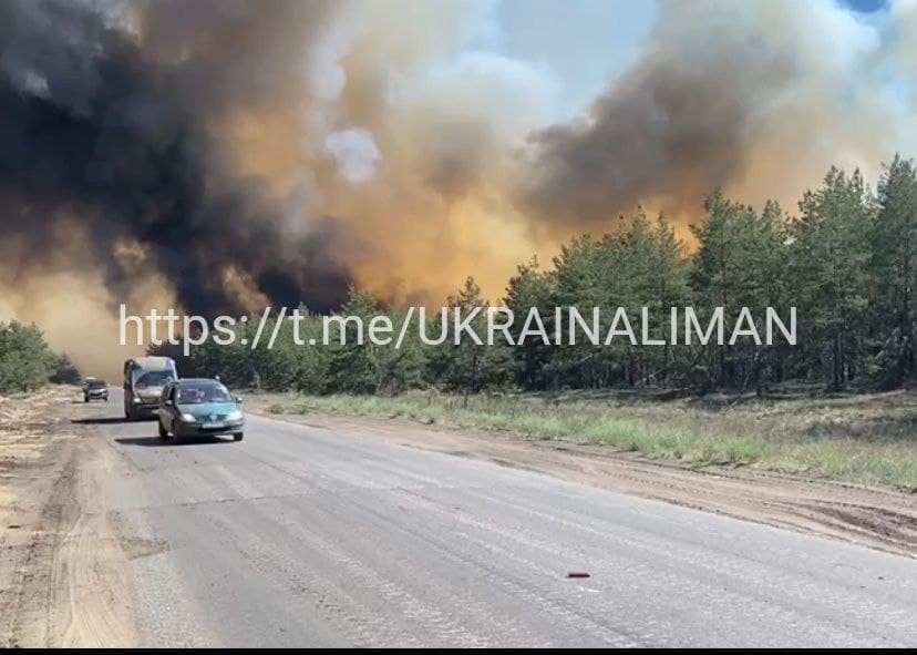 У Лиманських лісах сталася масштабна пожежа (відео)
