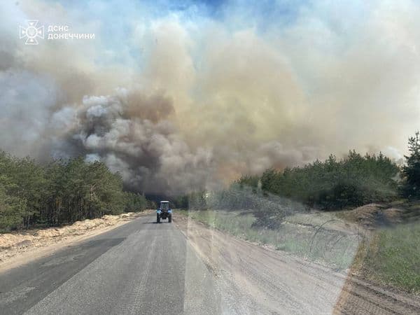 У Лиманських лісах сталася масштабна пожежа: фото, відео (доповнено)
