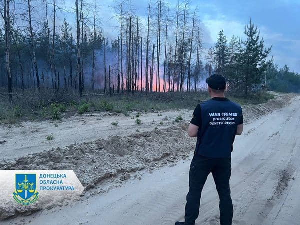 У Лиманських лісах сталася масштабна пожежа: фото, відео (доповнено)