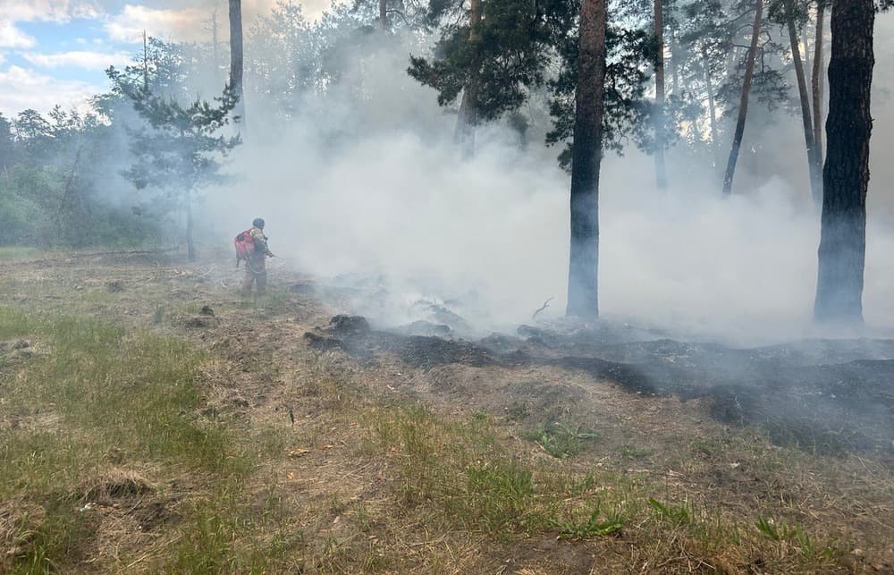 Рятувальники Лиманського гарнізону ліквідували 3 пожежі в лісах за добу