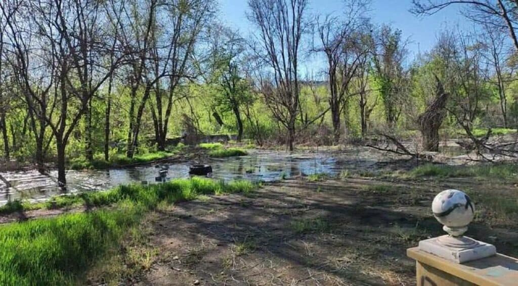 Два роки окупації у Маріуполі окупанти знищують екосистему міста, — міськрада