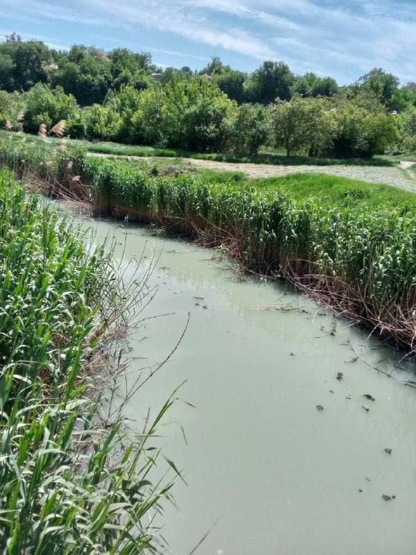 Два роки окупації у Маріуполі окупанти знищують екосистему міста, — міськрада