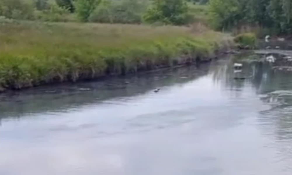 В окупованому Маріуполі продовжується забруднення річок