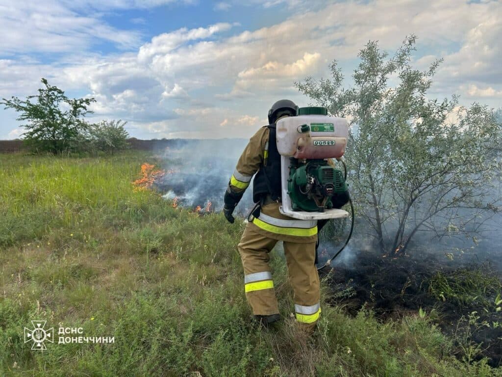 пожежа донеччина 2