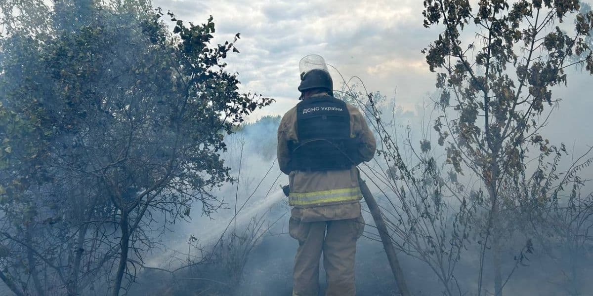 пожежа донеччина 4