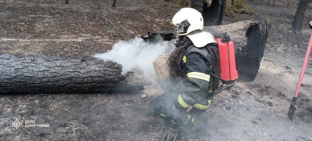 пожежа дснс 10