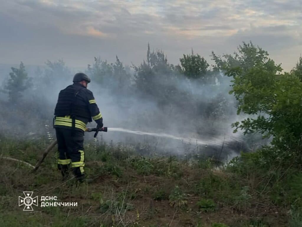 пожежа дснс донеччини 3